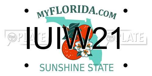 IUIW21 Florida License Plate