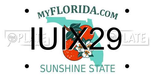 IUIX29 Florida License Plate