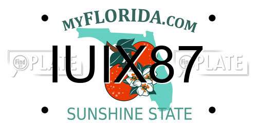 IUIX87 Florida License Plate