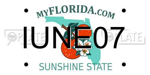 IUNE07 Florida License Plate