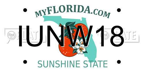 IUNW18 Florida License Plate