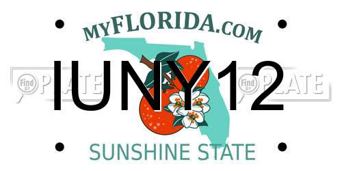 IUNY12 Florida License Plate