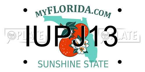 IUPJ13 Florida License Plate