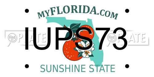 IUPS73 Florida License Plate