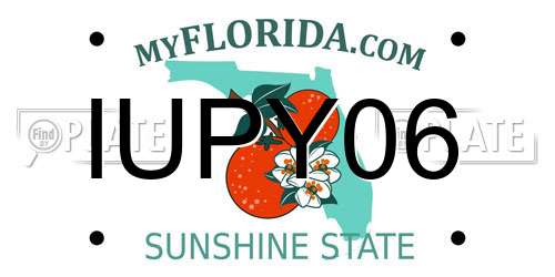 IUPY06 Florida License Plate