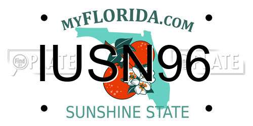 IUSN96 Florida License Plate