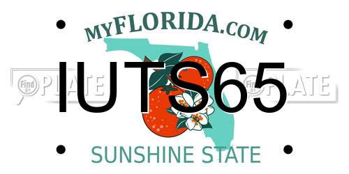 IUTS65 Florida License Plate