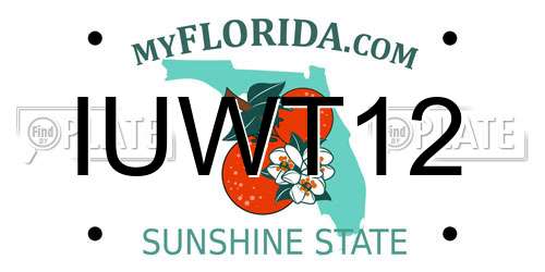 IUWT12 Florida License Plate