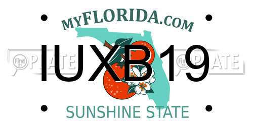 IUXB19 Florida License Plate