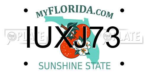 IUXJ73 Florida License Plate