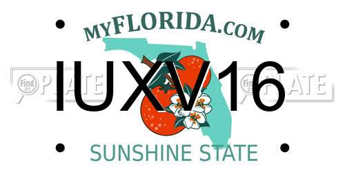 IUXV16 Florida License Plate