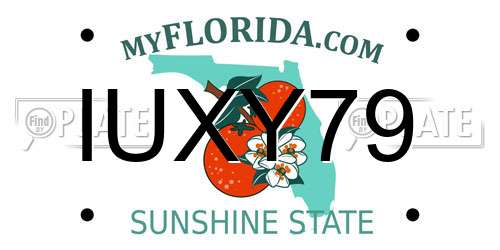 IUXY79 Florida License Plate