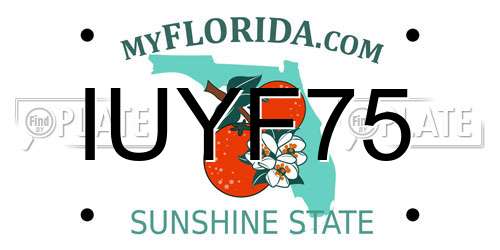 IUYF75 Florida License Plate