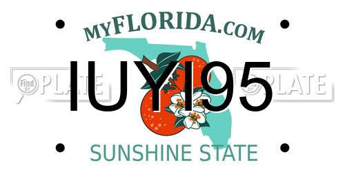 IUYI95 Florida License Plate