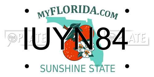 IUYN84 Florida License Plate