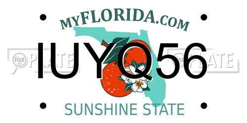 IUYQ56 Florida License Plate