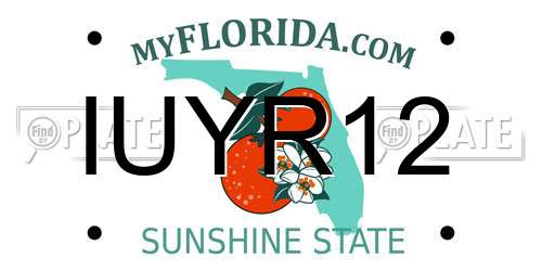 IUYR12 Florida License Plate