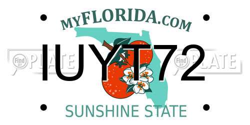 IUYT72 Florida License Plate