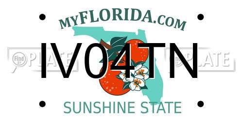 IV04TN Florida License Plate
