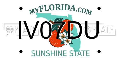 IV07DU Florida License Plate