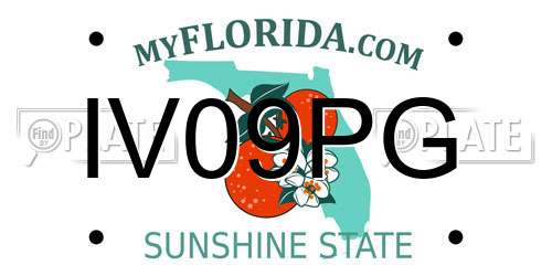 IV09PG Florida License Plate