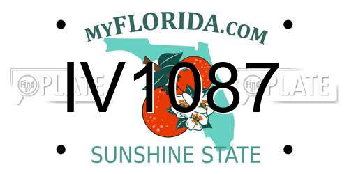 IV1087 Florida License Plate