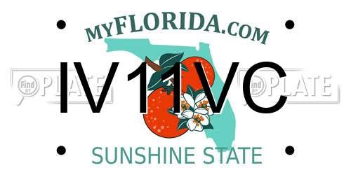 IV11VC Florida License Plate