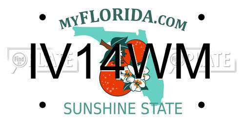 IV14WM Florida License Plate