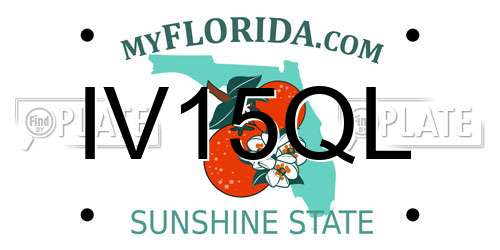 IV15QL Florida License Plate