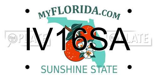 IV16SA Florida License Plate