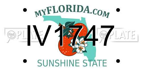 IV1747 Florida License Plate
