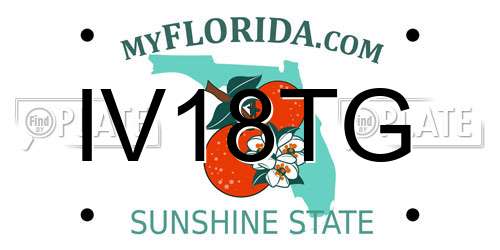 IV18TG Florida License Plate
