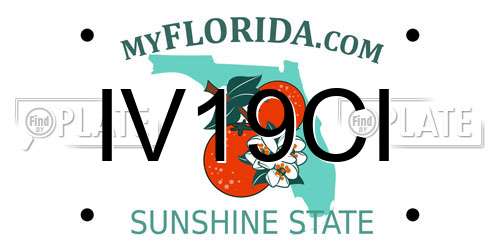 IV19CI Florida License Plate