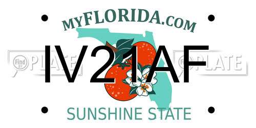 IV21AF Florida License Plate