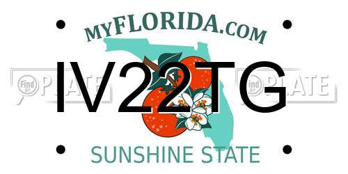 IV22TG Florida License Plate
