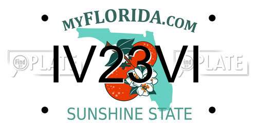 IV23VI Florida License Plate
