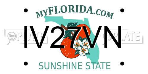 IV27VN Florida License Plate