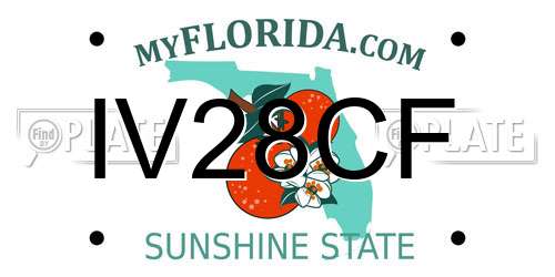 IV28CF Florida License Plate