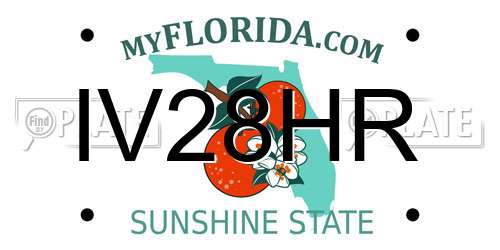 IV28HR Florida License Plate
