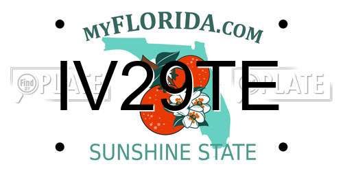 IV29TE Florida License Plate