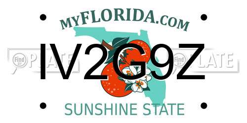 IV2G9Z Florida License Plate
