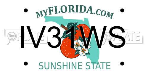 IV31WS Florida License Plate