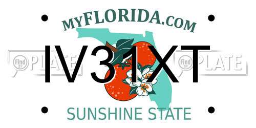 IV31XT Florida License Plate