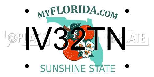 IV32TN Florida License Plate