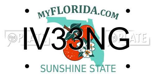 IV33NG Florida License Plate
