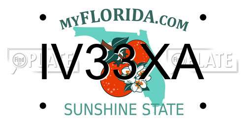 IV33XA Florida License Plate