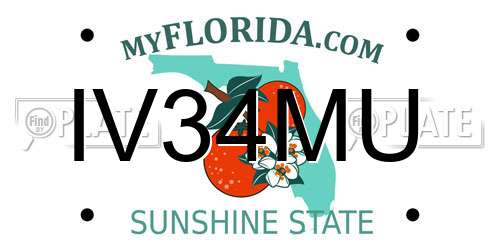 IV34MU Florida License Plate