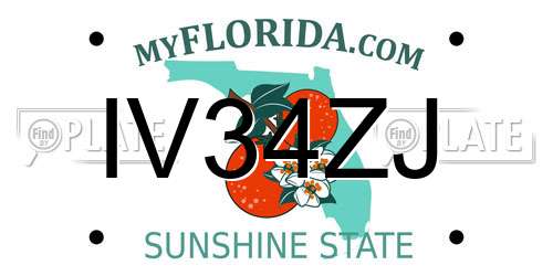 IV34ZJ Florida License Plate