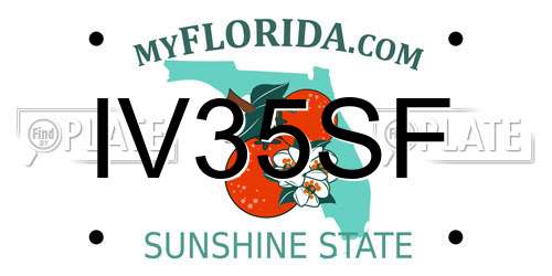 IV35SF Florida License Plate