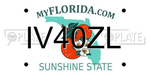 IV40ZL Florida License Plate